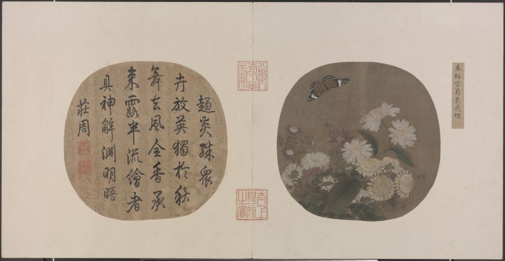 图片[1]-Zhu Shaozong Chrysanthemum Cong Flying Butterfly Page-China Archive